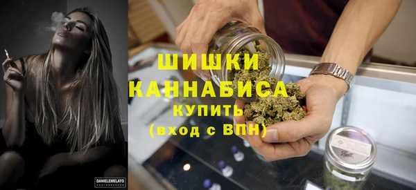 сатива Болхов