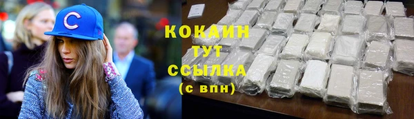 ГАЛЛЮЦИНОГЕННЫЕ ГРИБЫ Болотное
