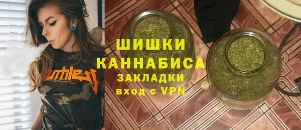 сатива Болхов