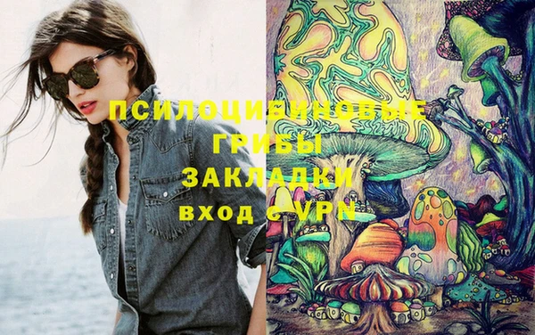 стафф Нягань