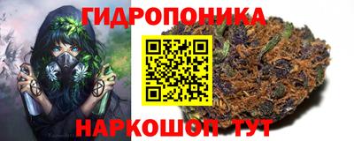 a pvp Заводоуковск