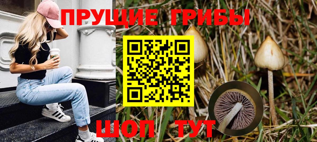 Унеча  Псилоцибиновые грибы GOLDEN TEACHER  Вход с VPN 