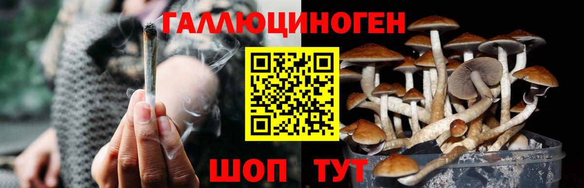 Галлюциногенные грибы Magic Shrooms Унеча